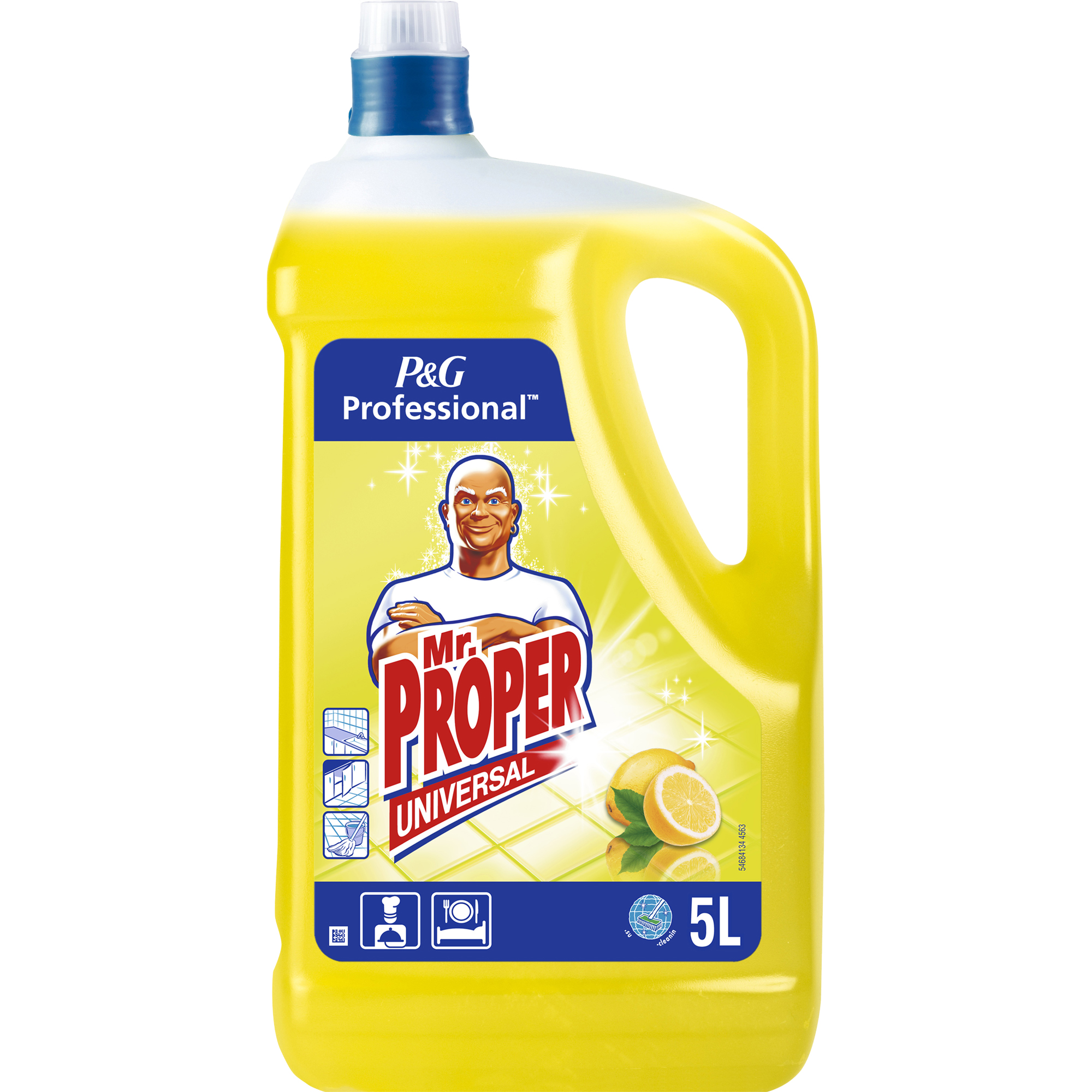 Detergent universal suprafete Mr. Proper Professional, - Frentzy